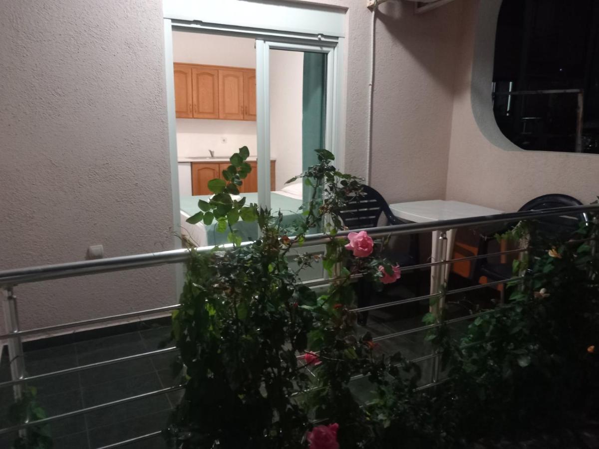 Villa Emeja - Bar - Montenegro Exterior photo